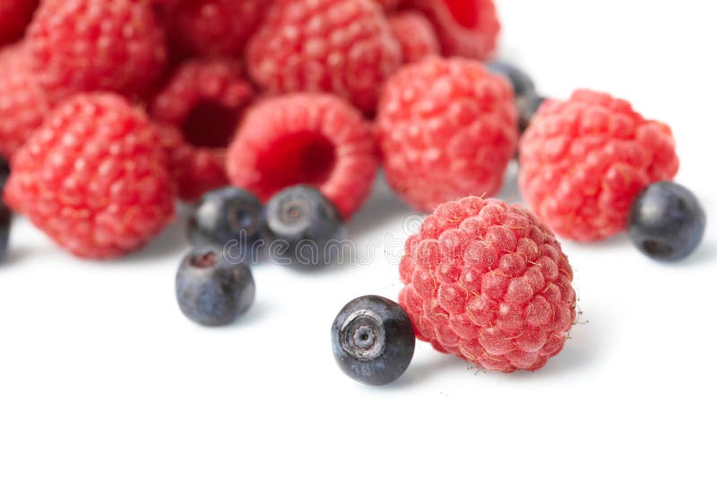 Berries on White Background Stock Image Image of natural, fruity