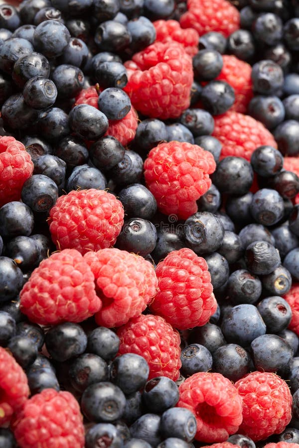 Berries on White Background Stock Image Image of fruity, fruit 15601229