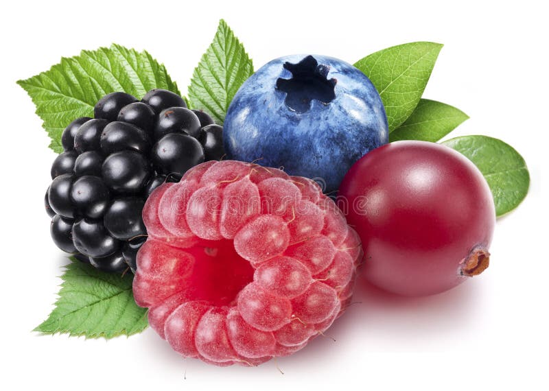 Berries on a White Background. Stock Image Image of blackberries