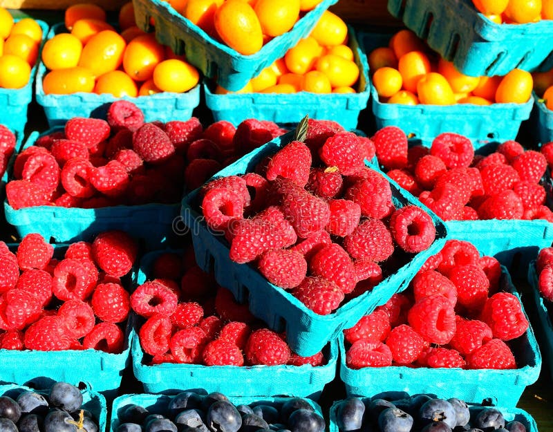 Berry stock photo. Image of gooseberry, market, downtown 38390878