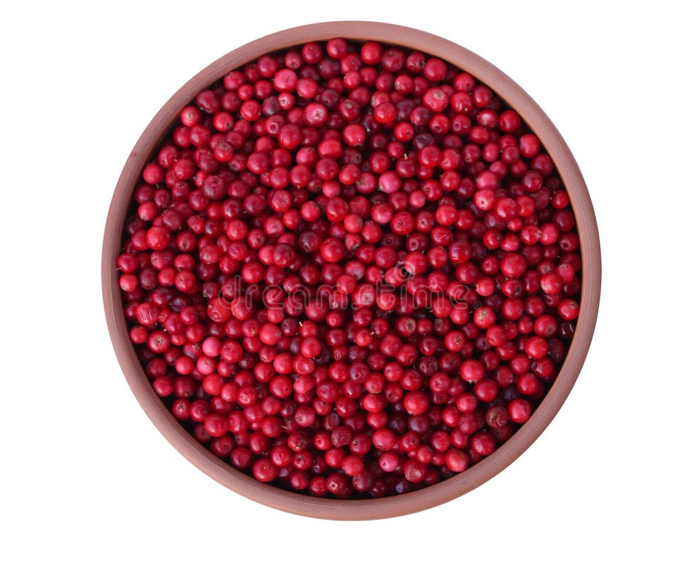 Cherry stock photo. Image of close, eating, lush, crop - 5713040