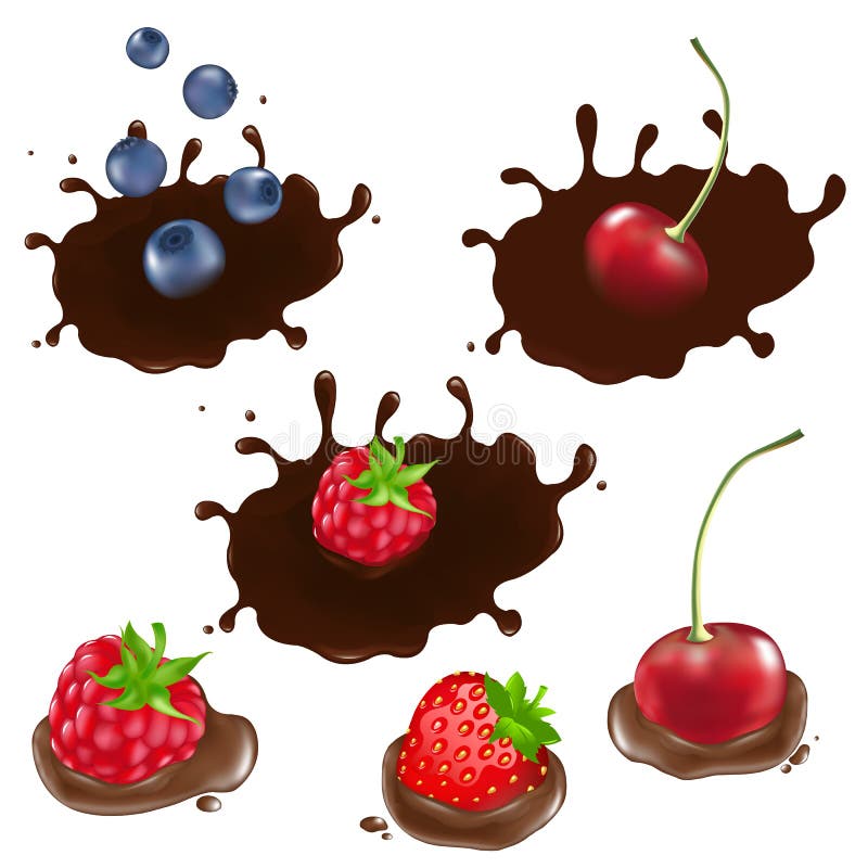 Berry In Chocolate