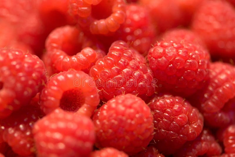 Berry Fruit stock image. Image of ingredient, groceries 5007625