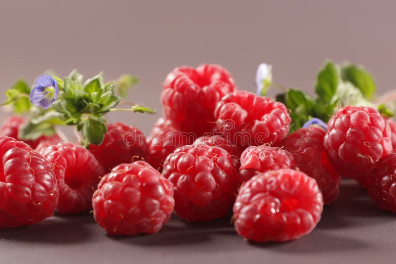Berry fruit stock photo. Image of organic, fruit, food 224235382