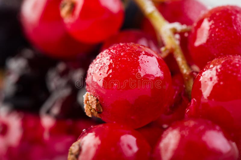 Berry Fruits lizenzfreie stockbilder Berry Fruits lizenzfreie stockbilder