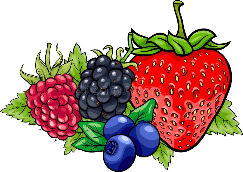 Berry fruits cartoon illustration