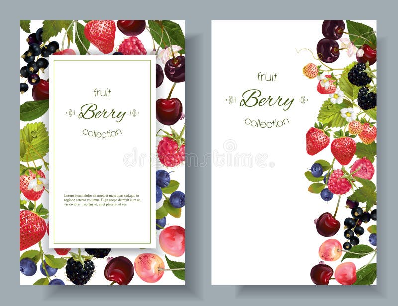 Berry mix banners