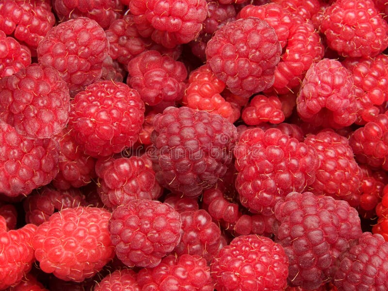 Berry raspberry