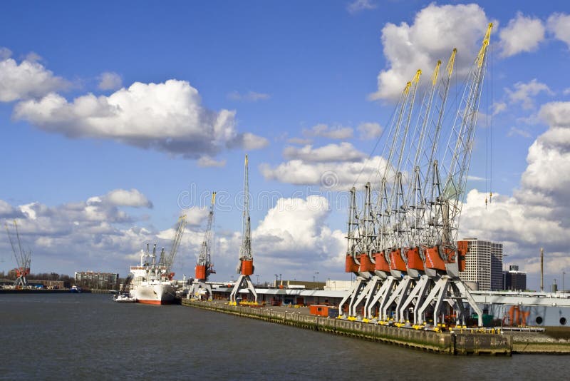 Berth cranes in the port