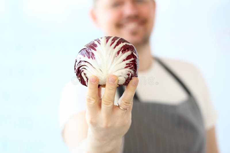 Berufschef-Holding Organic Purple-Kohl stockbild Berufschef-Holding Organic Purple-Kohl stockbild