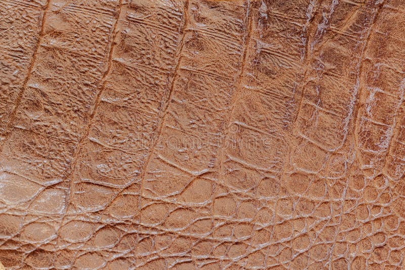 Beschaffenheit der Nahaufnahme des echten Leders, geprägt unter Hautreptil, braune Farbe, exotisches Reptil, Mattoberfläche, modi stockfotos Beschaffenheit der Nahaufnahme des echten Leders, geprägt unter Hautreptil, braune Farbe, exotisches Reptil, Mattoberfläche, modi stockfotos