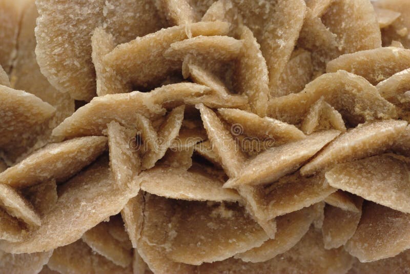 Sand rose (gypsum rose) is crystal form of gypsum which could be found in Sahara desert. Sand rose (gypsum rose) is crystal form of gypsum which could be found in Sahara desert