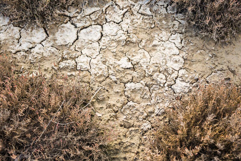 Beschaffenheit des trockenen Landes, Hintergrund lizenzfreie stockfotografie Beschaffenheit des trockenen Landes, Hintergrund lizenzfreie stockfotografie