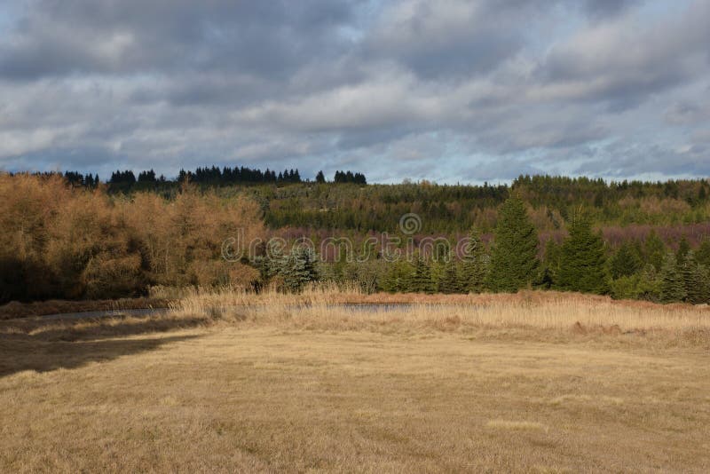 Beschaffenheit von hory Erzbergen Krusne nahe Lesna-Dorf in Tscheche-Landschaft am 8. Dezember 2018 lizenzfreie stockbilder Beschaffenheit von hory Erzbergen Krusne nahe Lesna-Dorf in Tscheche-Landschaft am 8. Dezember 2018 lizenzfreie stockbilder