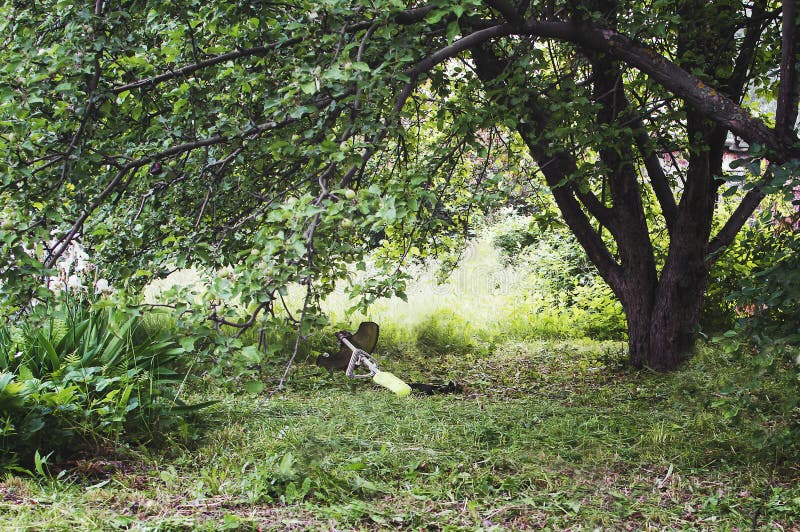 Beskäraregräsklipparen ligger i gräset under trädet arkivbilder Beskäraregräsklipparen ligger i gräset under trädet arkivbilder