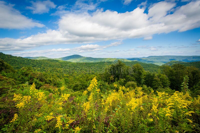 Beskåda från huvudväg 181, i den Pisgah nationalskogen, North Carolina royaltyfria foton Beskåda från huvudväg 181, i den Pisgah nationalskogen, North Carolina royaltyfria foton