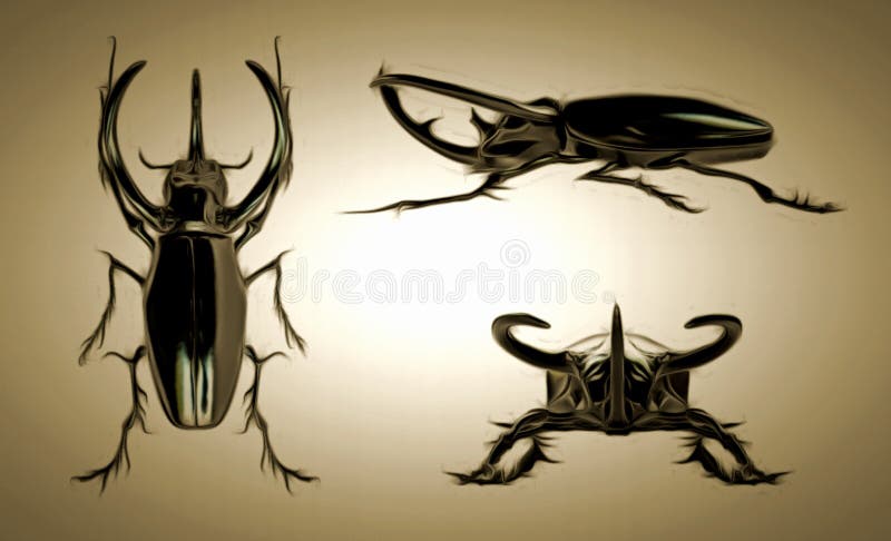 Besouro de rinoceronte preto ilustração do vetor