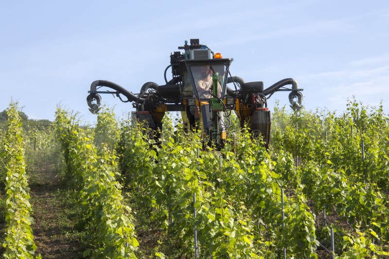 Bespuitend Insecticide - Wijngaard - Frankrijk stock afbeelding Bespuitend Insecticide - Wijngaard - Frankrijk stock afbeelding
