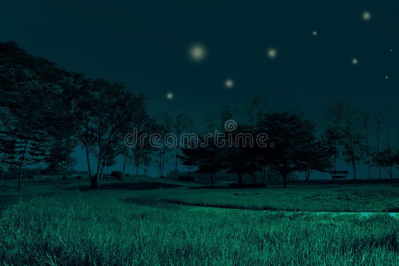 Best beautiful night of green grass meadow field and tree and ti