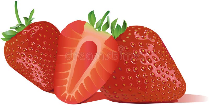 Best custom vector online Sweet strawberry royalty free illustration