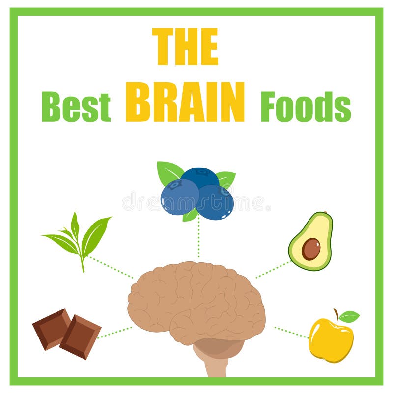 Brain Foods infographics stock vector. Illustration of health - 101458291