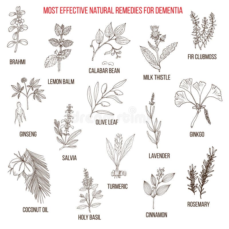 Best herbal remedies for dementia