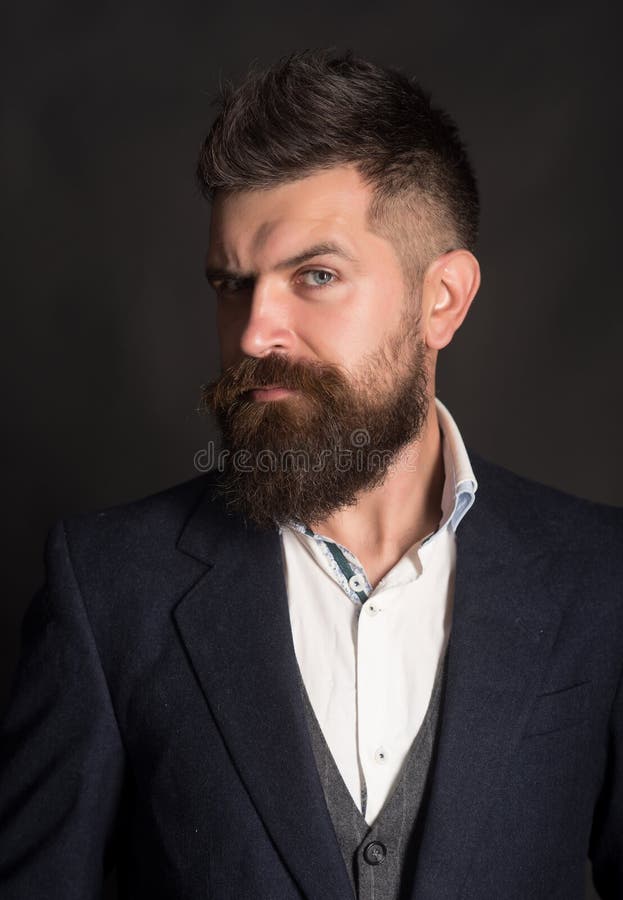 The Best Hipster Beard Style Ever. Fashion Model with Long Beard Hair ...