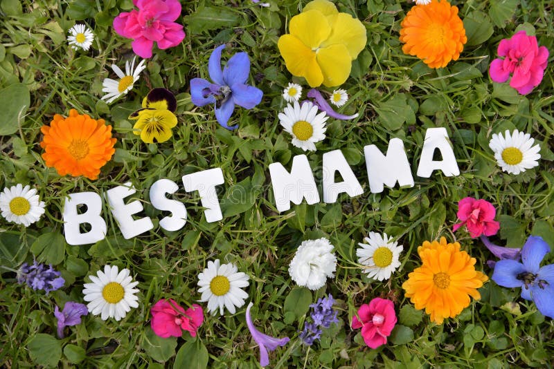 18,571 Best Mama Royalty-Free Images, Stock Photos & Pictures