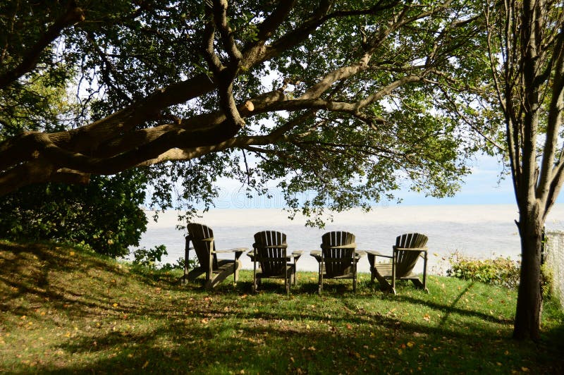 Best Seat in the House royalty free stock photo