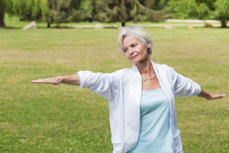 Beste Dämpferfrauen, die Yogaameise tai-Chi üben stockbilder Beste Dämpferfrauen, die Yogaameise tai-Chi üben stockbilder