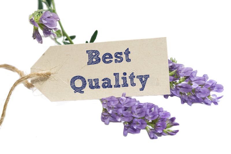 Beste Qualität lizenzfreies stockbild Beste Qualität lizenzfreies stockbild