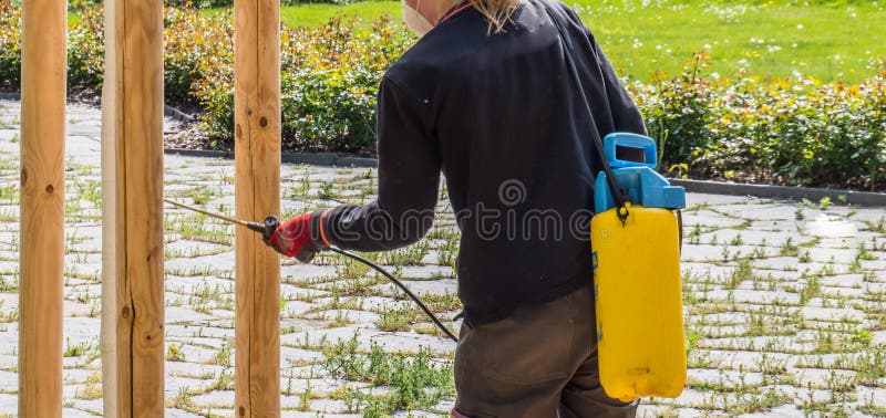 Bestrijding van plagen bij jonge bomen royalty-vrije stock foto