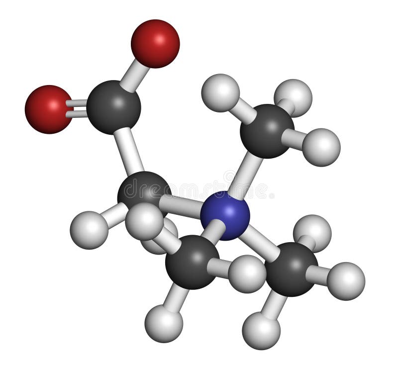 Betaine (glycine betaine, trimethylglycine) molecule. Originally found in sugar beet (Beta vulgaris). Atoms are represented as spheres with conventional color coding: hydrogen (white), carbon (grey), oxygen (red), nitrogen (blue. Betaine (glycine betaine, trimethylglycine) molecule. Originally found in sugar beet (Beta vulgaris). Atoms are represented as spheres with conventional color coding: hydrogen (white), carbon (grey), oxygen (red), nitrogen (blue