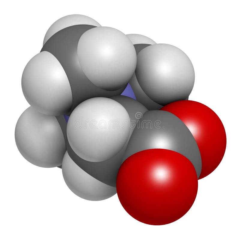 Betaine (glycine betaine, trimethylglycine) molecule. Originally found in sugar beet (Beta vulgaris). Atoms are represented as spheres with conventional color coding: hydrogen (white), carbon (grey), oxygen (red), nitrogen (blue. Betaine (glycine betaine, trimethylglycine) molecule. Originally found in sugar beet (Beta vulgaris). Atoms are represented as spheres with conventional color coding: hydrogen (white), carbon (grey), oxygen (red), nitrogen (blue