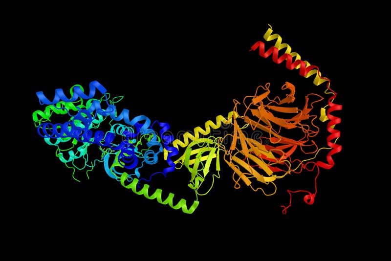 Beta adrenergic receptor kinase, is a serine/threonine intracellular kinase. It is one method by which the cell will desensitize itself from epinephrine overstimulation. 3d rendering. Beta adrenergic receptor kinase, is a serine/threonine intracellular kinase. It is one method by which the cell will desensitize itself from epinephrine overstimulation. 3d rendering.