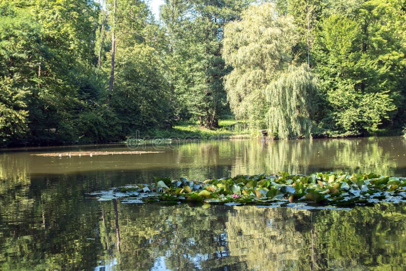 Betliar Lake of tranquility with water lilies