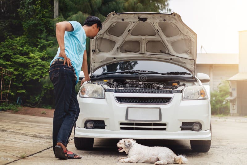 Betonter asiatischer Mann, der die Maschine des defekten Autos mit Hund betrachtet lizenzfreies stockfoto Betonter asiatischer Mann, der die Maschine des defekten Autos mit Hund betrachtet lizenzfreies stockfoto