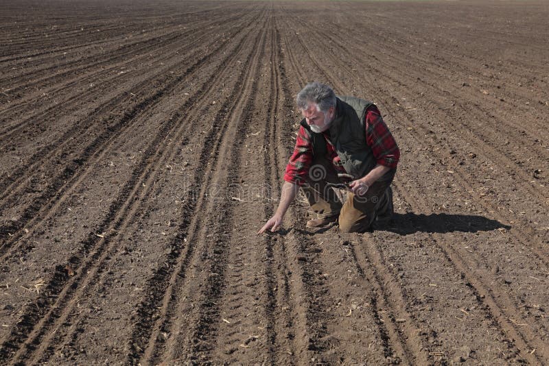 Farmer or agronomist inspecting ground in field in spring after sowing, with tablet in hand, agricultural works in spring. Farmer or agronomist inspecting ground in field in spring after sowing, with tablet in hand, agricultural works in spring