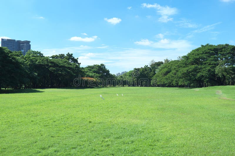 Beträchtliches Feld von Wachirabenchathat-Park stockfoto Beträchtliches Feld von Wachirabenchathat-Park stockfoto