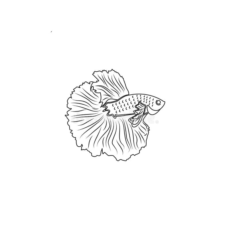 Premium Vector | Betta fish logo design ready to use