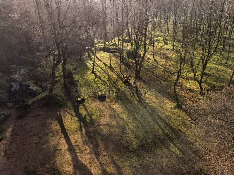 Betäubungsabstraktes Luftbrummen-Landschaftsbild von Schatten des frühen Morgens durch Bäume im Wald im Höchstbezirk in England lizenzfreies stockbild
