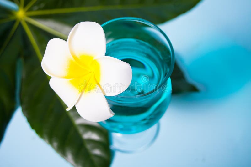 Bevanda di cocktail esotica di Curacao tropicale in un bicchiere con fiore di Plumeria frangipani, foglia di palma sullo sfondo immagine stock Bevanda di cocktail esotica di Curacao tropicale in un bicchiere con fiore di Plumeria frangipani, foglia di palma sullo sfondo immagine stock