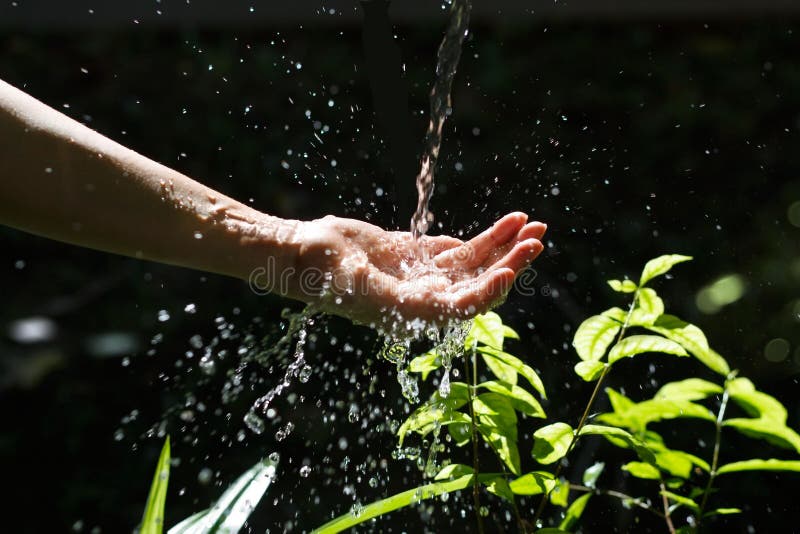 Bevattna att hälla i mänsklig hand på naturen, miljöfråga royaltyfria foton Bevattna att hälla i mänsklig hand på naturen, miljöfråga royaltyfria foton