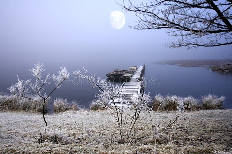 Stunning light as the Moon shines through the Fog and highlights the atmospheric and peaceful frost coated scene in Northumberland, England in the height of Winter. Stunning light as the Moon shines through the Fog and highlights the atmospheric and peaceful frost coated scene in Northumberland, England in the height of Winter