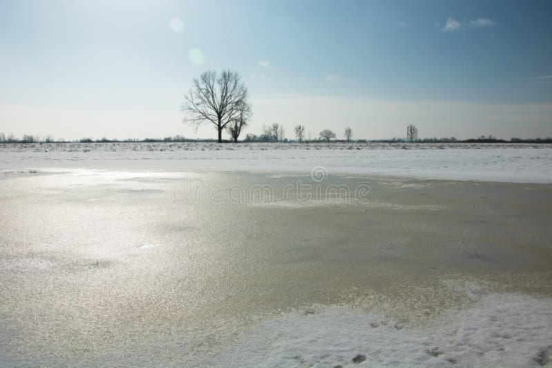 Bevroren water en sneeuw in de weide, eenzame boom op de horizon en wolkenloze hemel royalty-vrije stock foto's Bevroren water en sneeuw in de weide, eenzame boom op de horizon en wolkenloze hemel royalty-vrije stock foto's