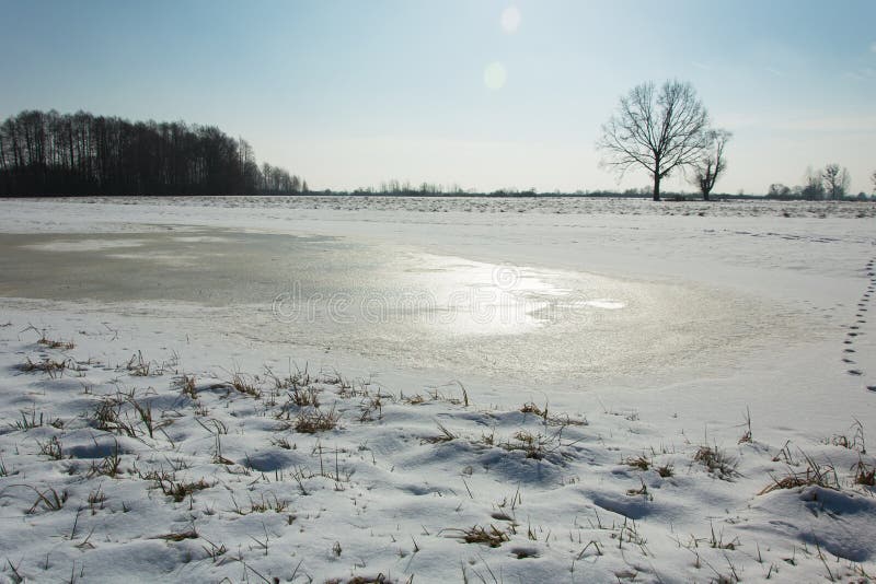 Bevroren water en sneeuw op het gebied, bomen op de horizon en de wolkenloze hemel stock fotografie Bevroren water en sneeuw op het gebied, bomen op de horizon en de wolkenloze hemel stock fotografie