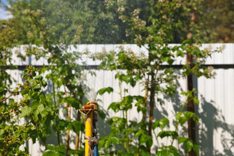Bewasserungssysteme Stockbild Bild Von Tatigkeiten Gartenbau 41119369