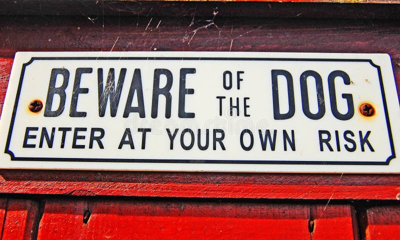 Cuidado com o cão fotos de stock royalty free