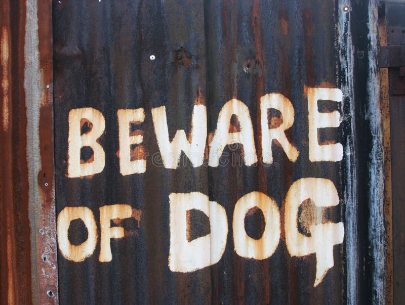 Cuidado com o cão fotos de stock