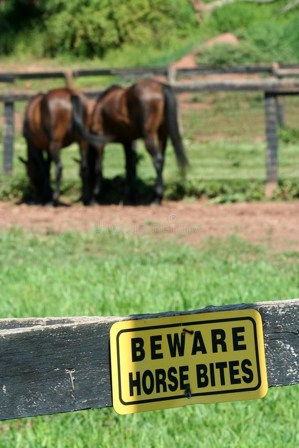 Beware horse bites sign stock image. Image of mane, yellow 6143645